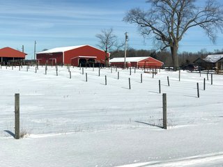 Property photo 21 - REAL ESTATE AUCTION - 168+/- ACRES IN 8 TRACTS IN LAPORTE COUNTY, INDIANA